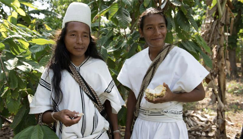 Cerimonial Cacao • Organic, Pure, Handcrafted & Natural